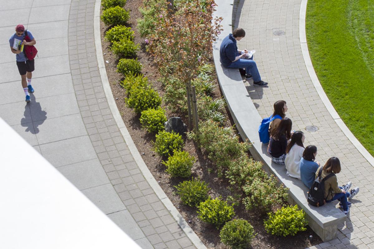 鸟瞰图:学生们坐在校园公共场所周围弯曲的石凳上，一名学生走在校园人行道上
